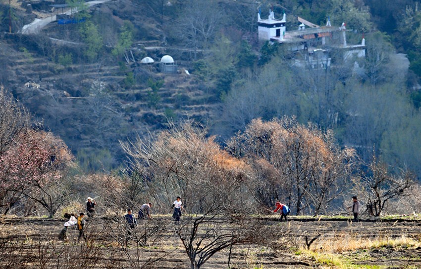 鉚足“?！眲鸥髅? onload=