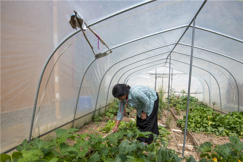 搬遷戶.jpg 搬遷戶.jpg