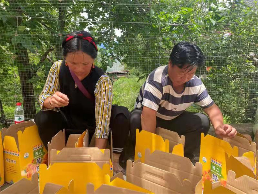 果農(nóng).jpg 果農(nóng).jpg