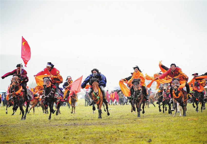 圖為賽馬.jpg 圖為賽馬.jpg