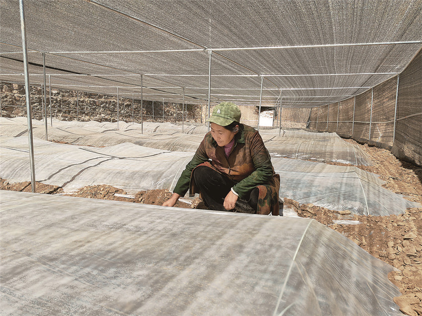 村民查看.jpg 村民查看.jpg