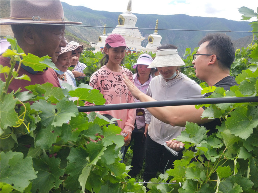 農技專家在.jpg 農技專家在.jpg